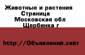  Животные и растения - Страница 12 . Московская обл.,Щербинка г.